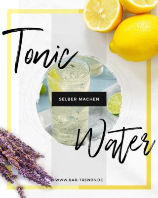 Dein eigenes Tonic Water selber machen - Pinterest Banner