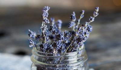 Tonic einfach selber machen - Lavendel